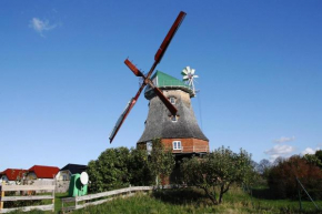 Dutch windmill in Neubukow in Neubukow
